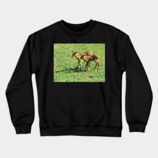 Little Fawns Exploring Crewneck Sweatshirt